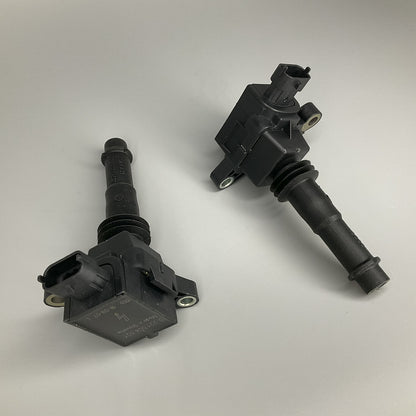 OE Bosch Allumage Bobine 2PCS 0221504021 Pour Polaris Msx 150 FST Dragon Iq FS