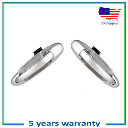 Rear Pair Set 2PCS Outside Door Handle For 1C8 Lunar Mist Toyota Tundra Sequoia